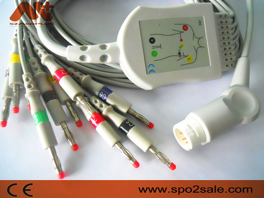 Kabel EKG z bezpośrednim połączeniem firmy Philips do Codemaster 100, MRx